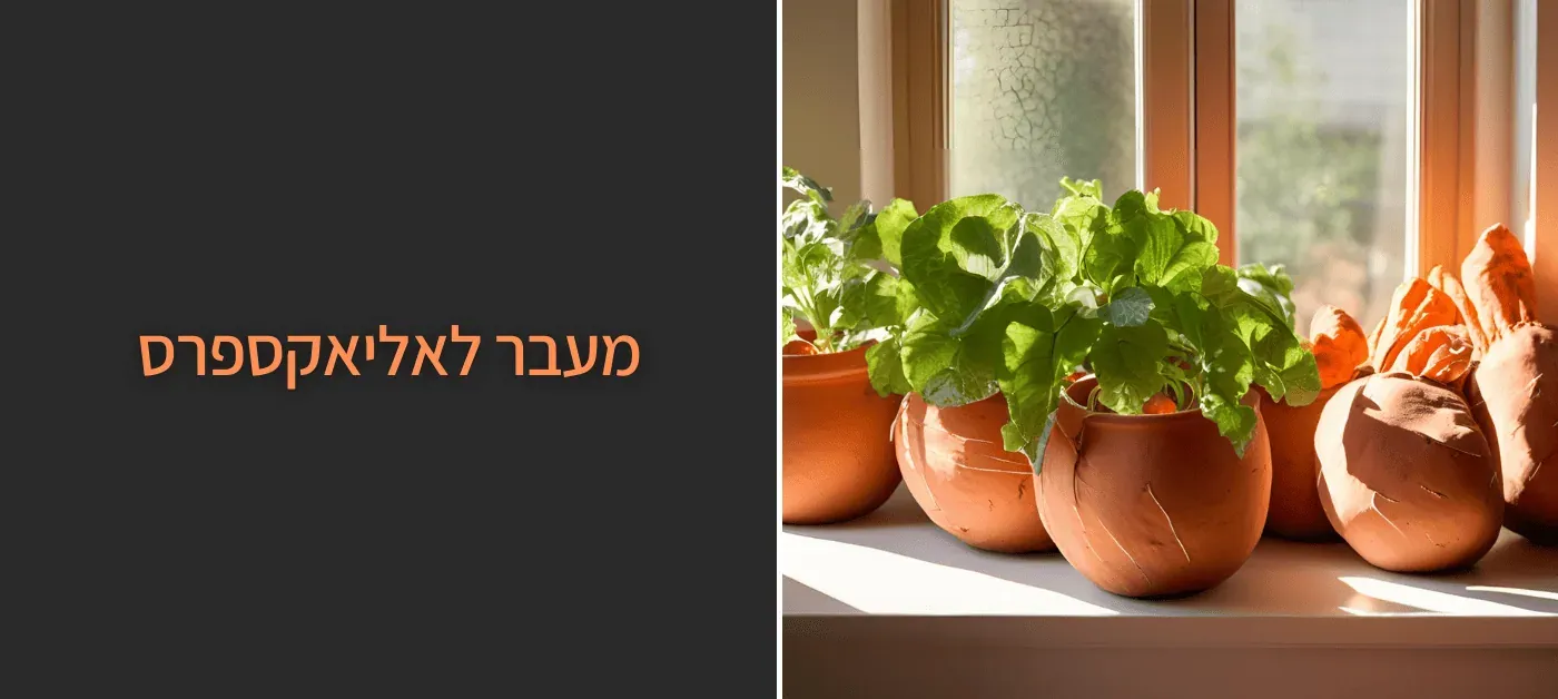 גידול בטטה - איך מגדלים צמח מושלם של בטטה בקלות בבית | טיפים והמלצות