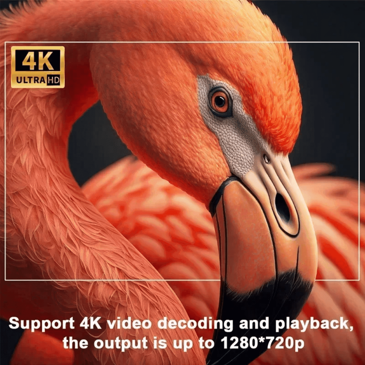 מקרן נייד 4K עם מסך קיר HY300